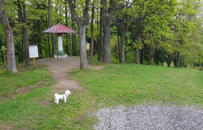 V Soukromí - Meran *